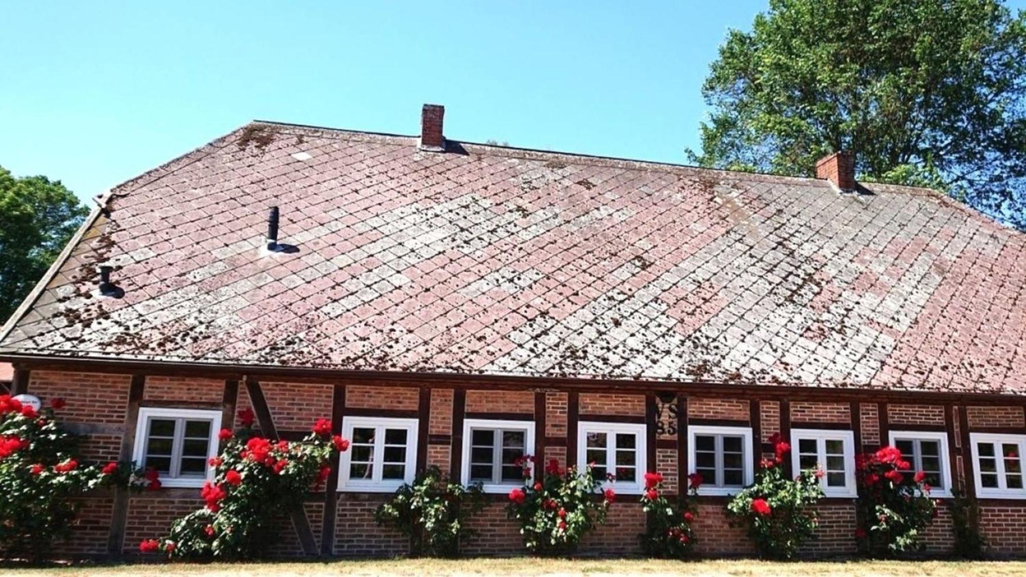 Luedersburger Strasse 15B Apartment Екстериор снимка